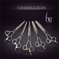 SCISSORS HG Yoshizawa - HG